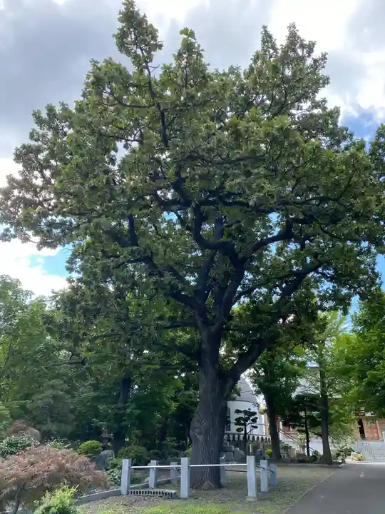 祥龍寺(北海道)