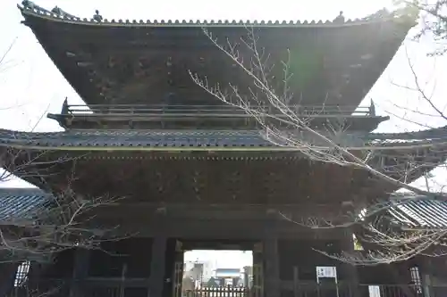 大樹寺（松安院大樹寺）の山門