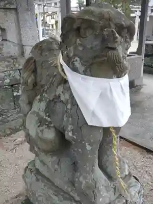 住吉神社の狛犬