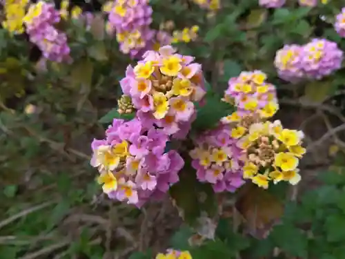 源九郎稲荷神社(奈良県)
