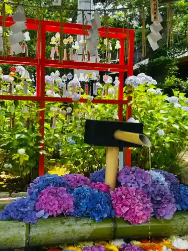 白山神社(新潟県)