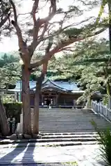 函館八幡宮(北海道)