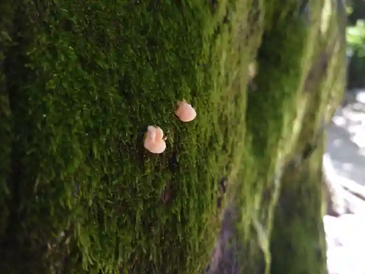 星田妙見宮(大阪府)