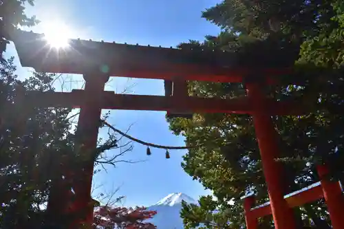 新倉富士浅間神社の鳥居