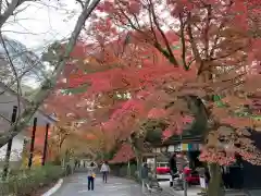 園城寺（三井寺）の自然