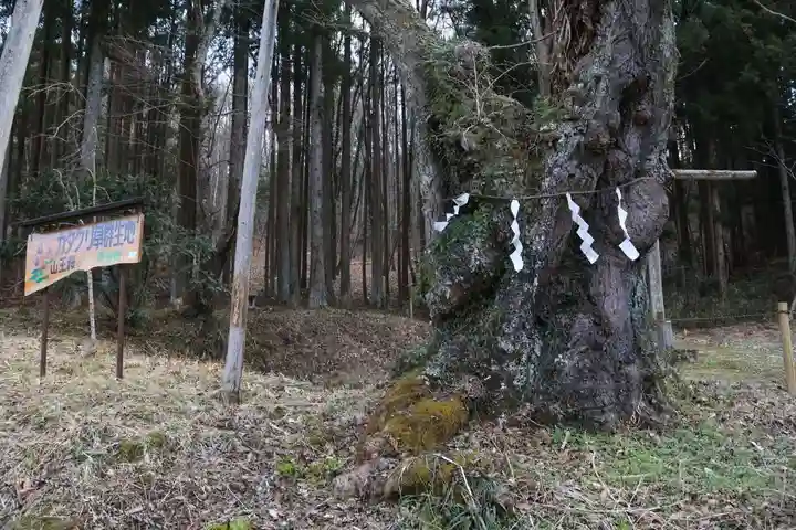 日枝神社の自然