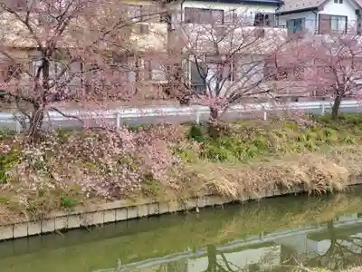 鷲宮神社(埼玉県)