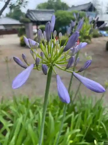 世良田東照宮(群馬県)