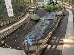 出雲大社相模分祠の庭園