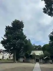 御嶽神社(神奈川県)