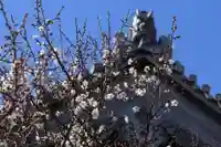 法話と天井絵の寺 観音寺の自然