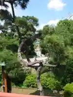 清水観音堂(東京都)