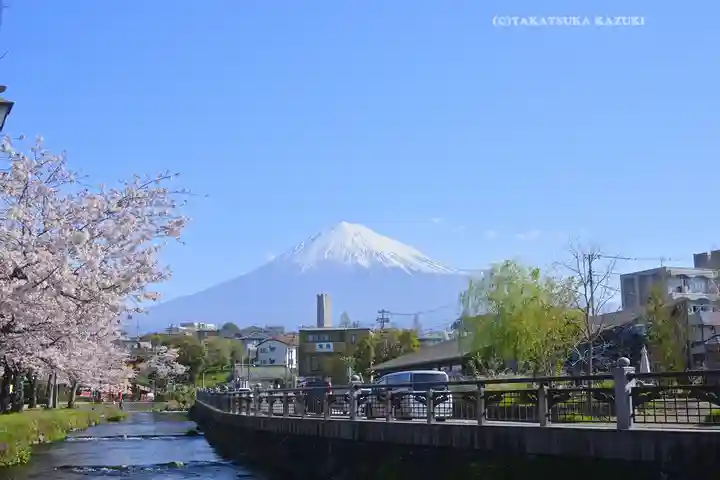 富士山本宮浅間大社(静岡県)