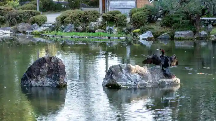 平安神宮(京都府)