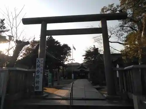 乃木神社の鳥居