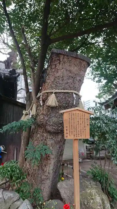 日置神社の歴史