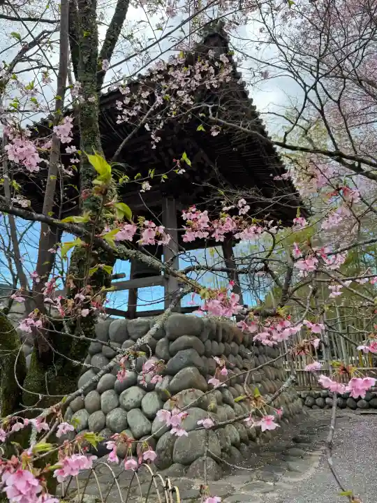 修禅寺の{uncategorized: "未分類", other: "その他", undefined: "問題あり", building: "その他建物", grave: "お墓", sacred_gate: "鳥居", guardian: "狛犬", statue: "像", buddha: "仏像", history: "歴史", nature: "自然", garden: "庭園", animal: "動物", pagoda: "塔", temizu: "手水舎", mountain_gate: "山門・神門", sanctuary: "本殿・本堂", subordinate: "末社・摂社", art: "芸術", scenery: "景色", jizo: "地蔵", ema: "絵馬", goshuin: "御朱印", omikuji: "おみくじ", items: "授与品その他", amulet: "お守り", goshuincho: "御朱印帳", eats: "食事", festival: "お祭り", votive_dance: "神楽", shichigosan: "七五三参", wedding: "結婚式", experience: "体験その他", initially: "初詣", around: "周辺", anti_infection: "感染症対策"}