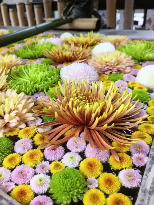 高円寺氷川神社(東京都)