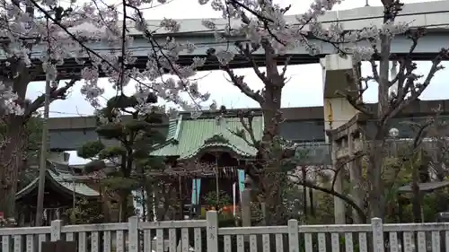 隅田川神社の本殿・本堂