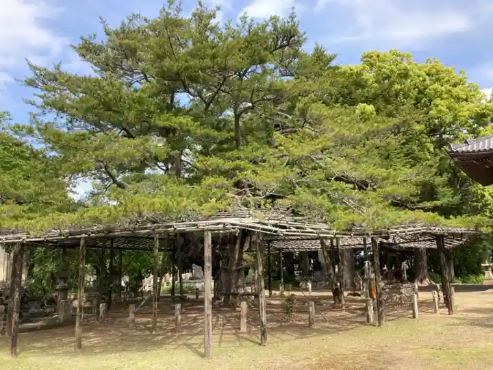 蓮久寺(千葉県)