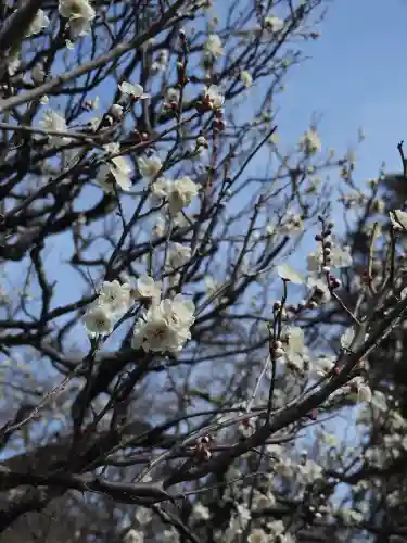 円覚寺の{uncategorized: "未分類", other: "その他", undefined: "問題あり", building: "その他建物", grave: "お墓", sacred_gate: "鳥居", guardian: "狛犬", statue: "像", buddha: "仏像", history: "歴史", nature: "自然", garden: "庭園", animal: "動物", pagoda: "塔", temizu: "手水舎", mountain_gate: "山門・神門", sanctuary: "本殿・本堂", subordinate: "末社・摂社", art: "芸術", scenery: "景色", jizo: "地蔵", ema: "絵馬", goshuin: "御朱印", omikuji: "おみくじ", items: "授与品その他", amulet: "お守り", goshuincho: "御朱印帳", eats: "食事", festival: "お祭り", votive_dance: "神楽", shichigosan: "七五三参", wedding: "結婚式", experience: "体験その他", initially: "初詣", around: "周辺", anti_infection: "感染症対策"}