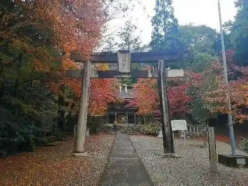 大矢田神社の鳥居