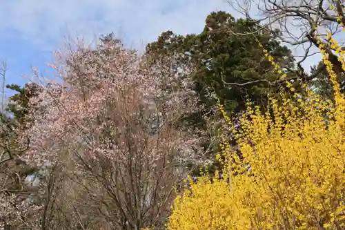 阿久津「田村神社」（郡山市阿久津町）旧社名：伊豆箱根三嶋三社の庭園