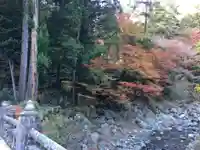 身延山 祖廟拝殿の自然