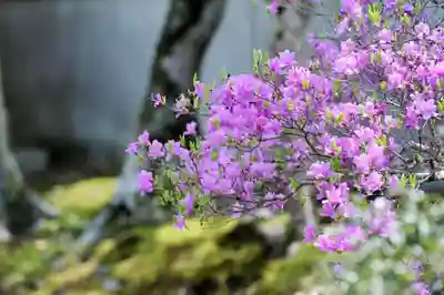 浄土寺(兵庫県)