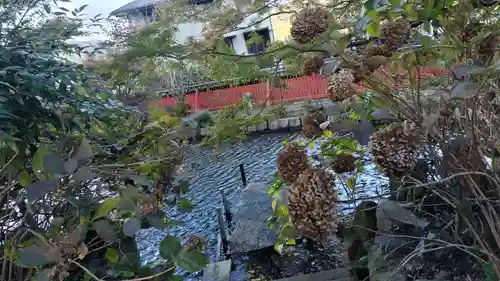 稗田野神社(薭田野神社)(京都府)
