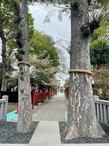 川越八幡宮の{uncategorized: "未分類", other: "その他", undefined: "問題あり", building: "その他建物", grave: "お墓", sacred_gate: "鳥居", guardian: "狛犬", statue: "像", buddha: "仏像", history: "歴史", nature: "自然", garden: "庭園", animal: "動物", pagoda: "塔", temizu: "手水舎", mountain_gate: "山門・神門", sanctuary: "本殿・本堂", subordinate: "末社・摂社", art: "芸術", scenery: "景色", jizo: "地蔵", ema: "絵馬", goshuin: "御朱印", omikuji: "おみくじ", items: "授与品その他", amulet: "お守り", goshuincho: "御朱印帳", eats: "食事", festival: "お祭り", votive_dance: "神楽", shichigosan: "七五三参", wedding: "結婚式", experience: "体験その他", initially: "初詣", around: "周辺", anti_infection: "感染症対策"}