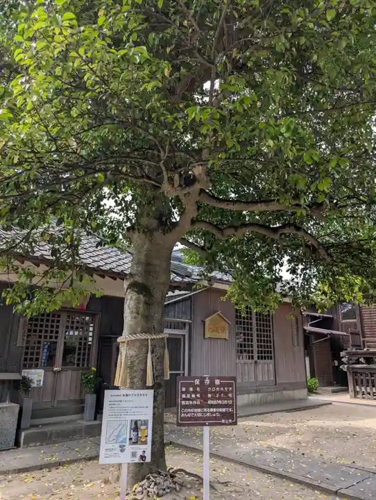 西大寺(岡山県)