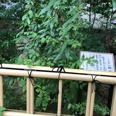 新田神社(東京都)