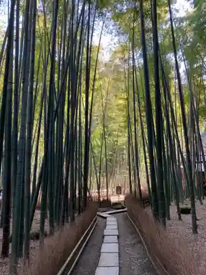 報国寺のその他建物