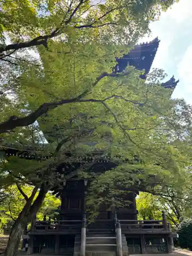 真正極楽寺（真如堂）の塔