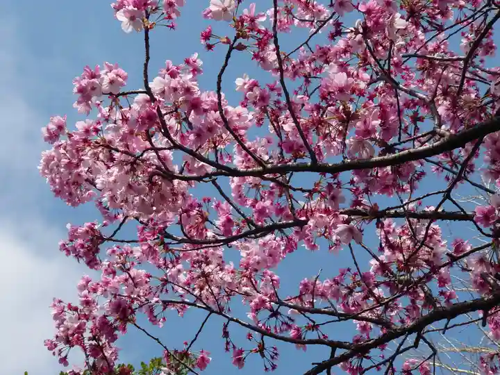 子聖神社(神奈川県)