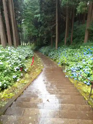 天台寺(岩手県)