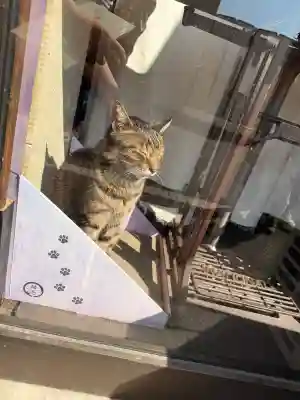 鷺宮八幡神社の{uncategorized: "未分類", other: "その他", undefined: "問題あり", building: "その他建物", grave: "お墓", sacred_gate: "鳥居", guardian: "狛犬", statue: "像", buddha: "仏像", history: "歴史", nature: "自然", garden: "庭園", animal: "動物", pagoda: "塔", temizu: "手水舎", mountain_gate: "山門・神門", sanctuary: "本殿・本堂", subordinate: "末社・摂社", art: "芸術", scenery: "景色", jizo: "地蔵", ema: "絵馬", goshuin: "御朱印", omikuji: "おみくじ", items: "授与品その他", amulet: "お守り", goshuincho: "御朱印帳", eats: "食事", festival: "お祭り", votive_dance: "神楽", shichigosan: "七五三参", wedding: "結婚式", experience: "体験その他", initially: "初詣", around: "周辺", anti_infection: "感染症対策"}