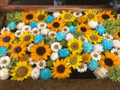 津島神社の手水舎