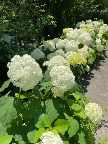 浄妙寺(神奈川県)