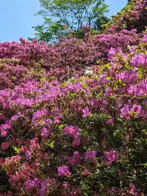 三室戸寺(京都府)