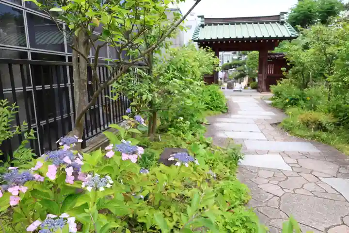 大巧寺(神奈川県)