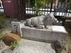 六波羅蜜寺の狛犬