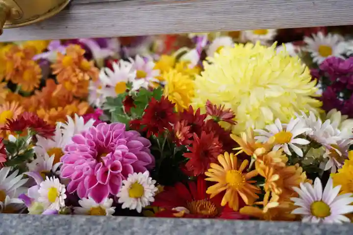 豊景神社の手水舎