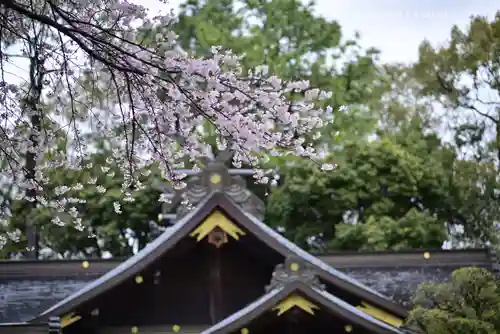 出雲大社相模分祠(神奈川県)