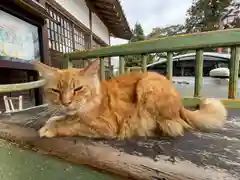 北僧坊の動物