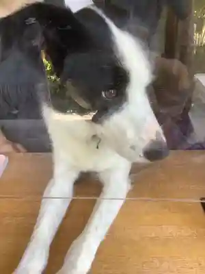 宝乗院(愛知県)