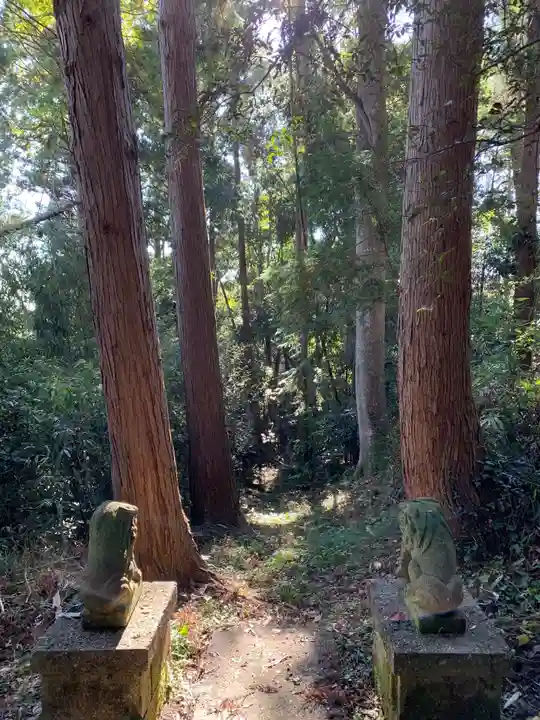 八坂神社の狛犬