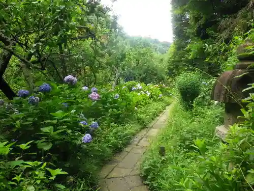 瑞泉寺の庭園