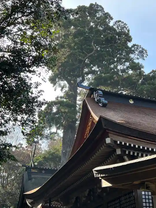 鹿島神宮(茨城県)